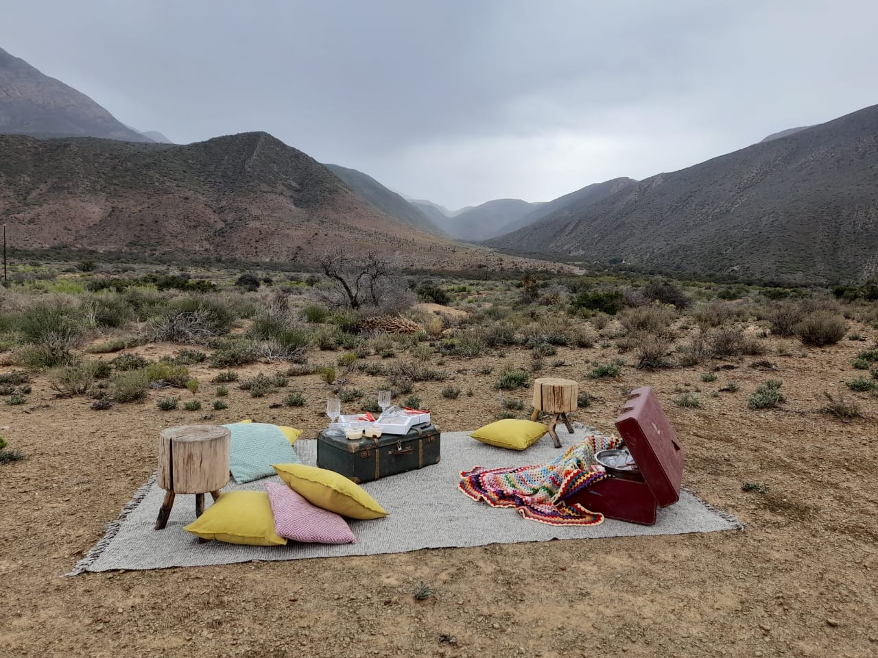 Picnic
